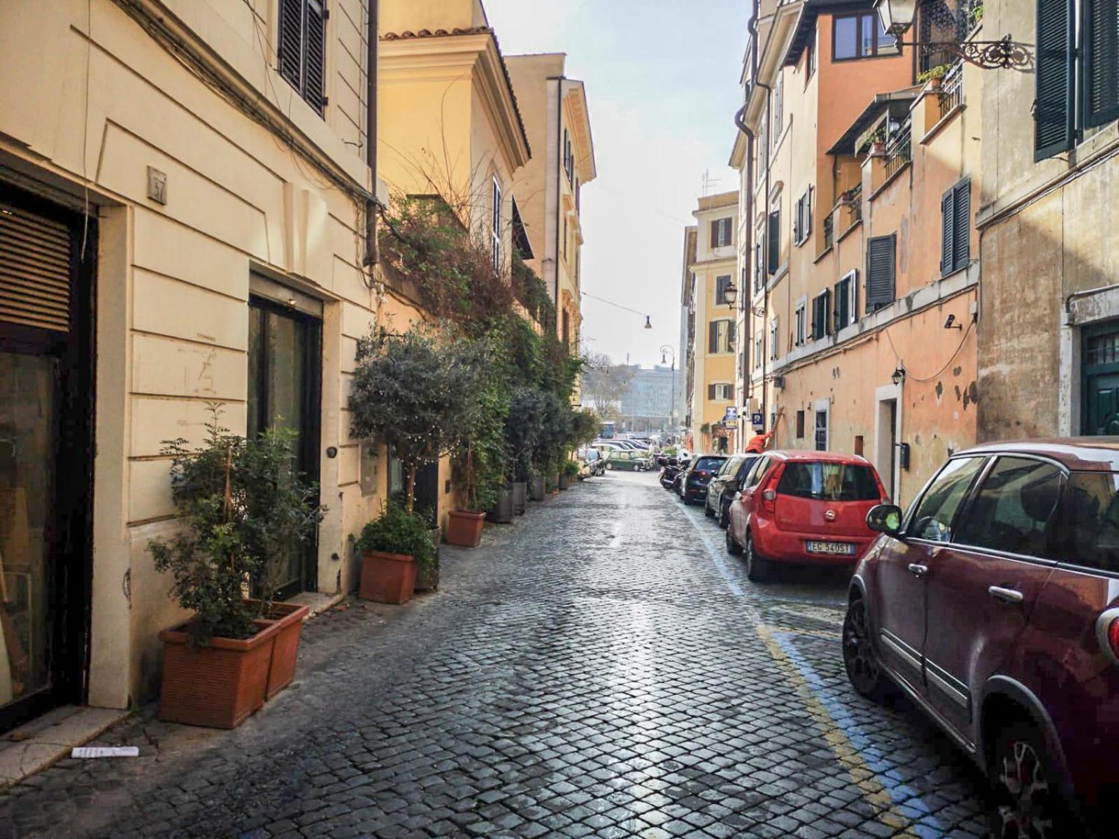 Flatinrome Trastevere Deluxe Rooms - Green Patio Zewnętrze zdjęcie